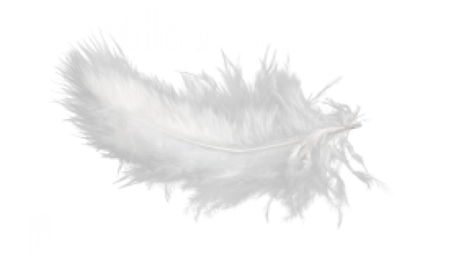 spirituallyhome-featherfeature